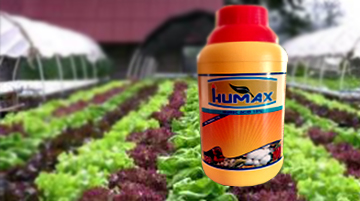 humax